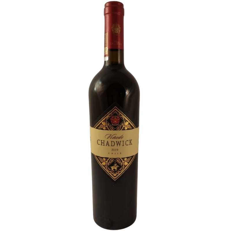 Viñedo Chadwick 2019 (0.75l) (1.5l) (3.0l) (9.0l)